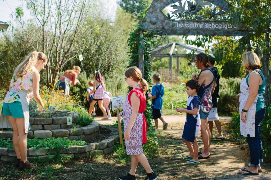 Wide shot of The Edible Schoolyard, the Greensboro Children's Museum's half-acre garden