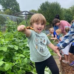 Children harvesting vegetables at miriam p. Brenner children's museum.