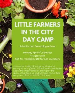 2 - little farmers in the city - day camp